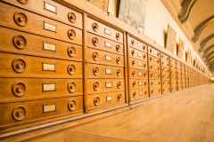 museum d'histoire naturelle