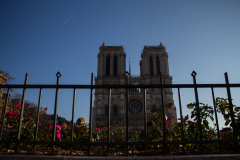 Cathédrale Notre dame de Paris